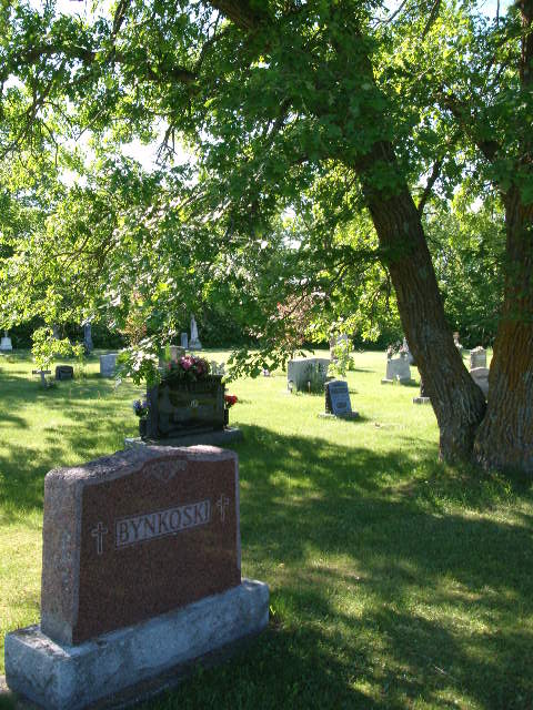 tombstone with a tree right beside it