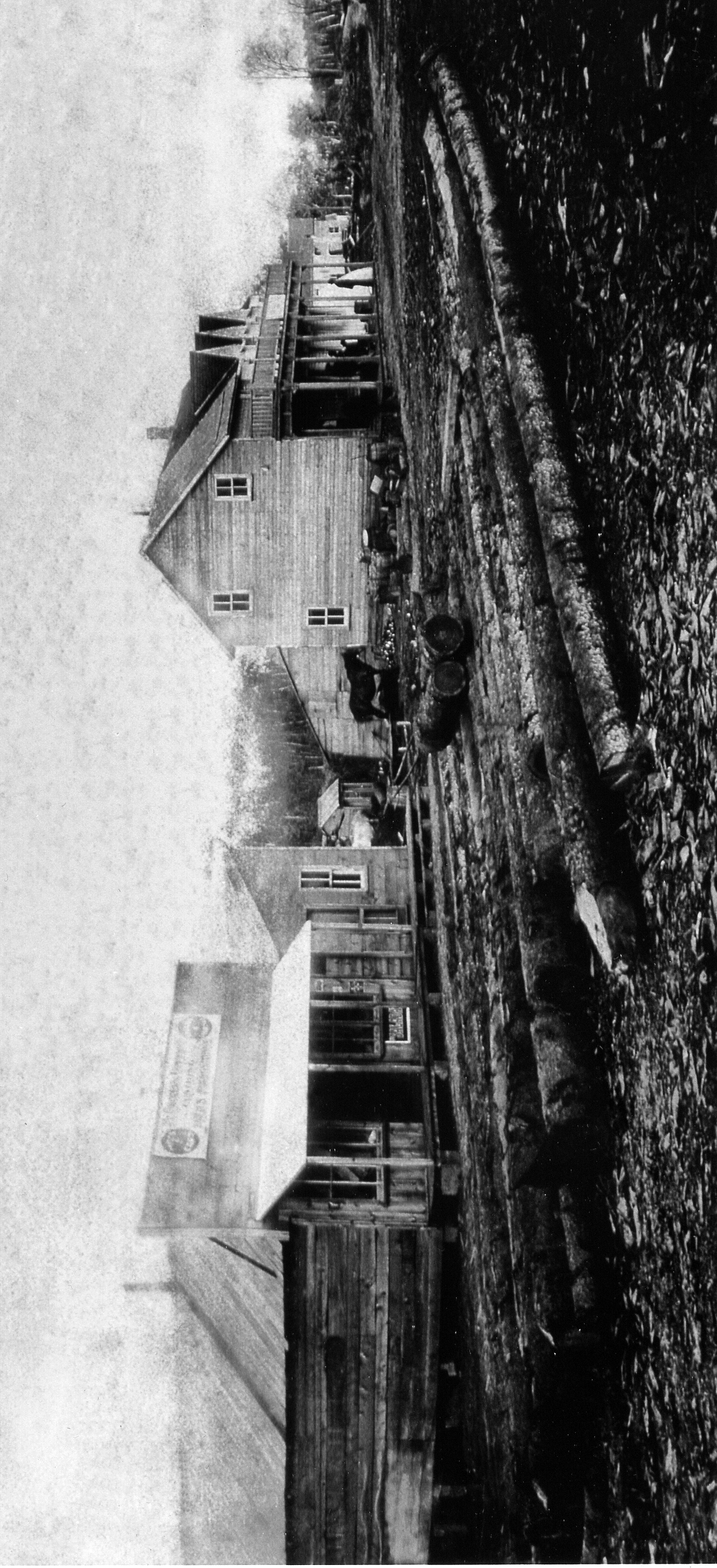 black and white photo of logs