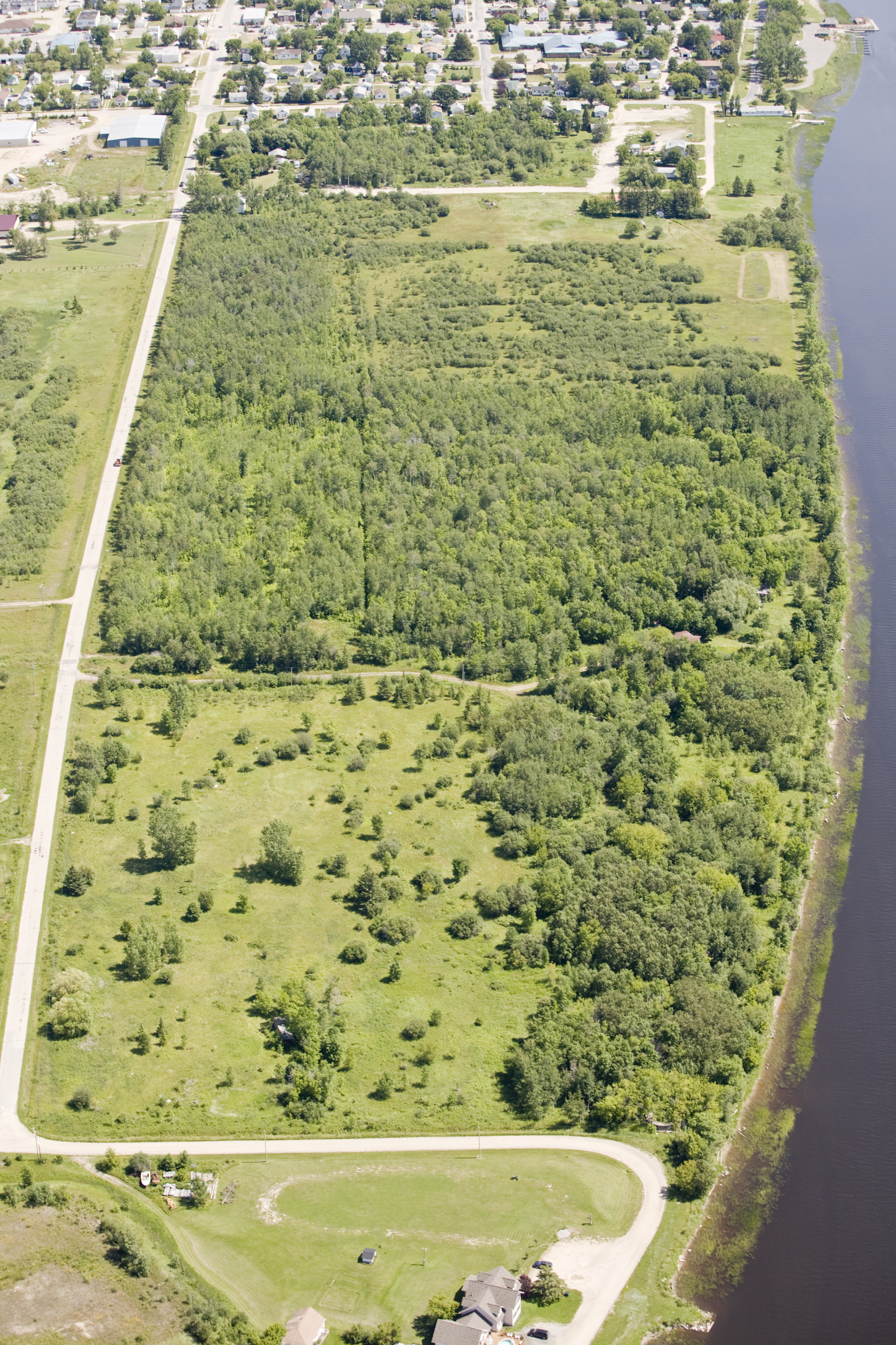 <div class="text-large">aerial view of a forest area</div>