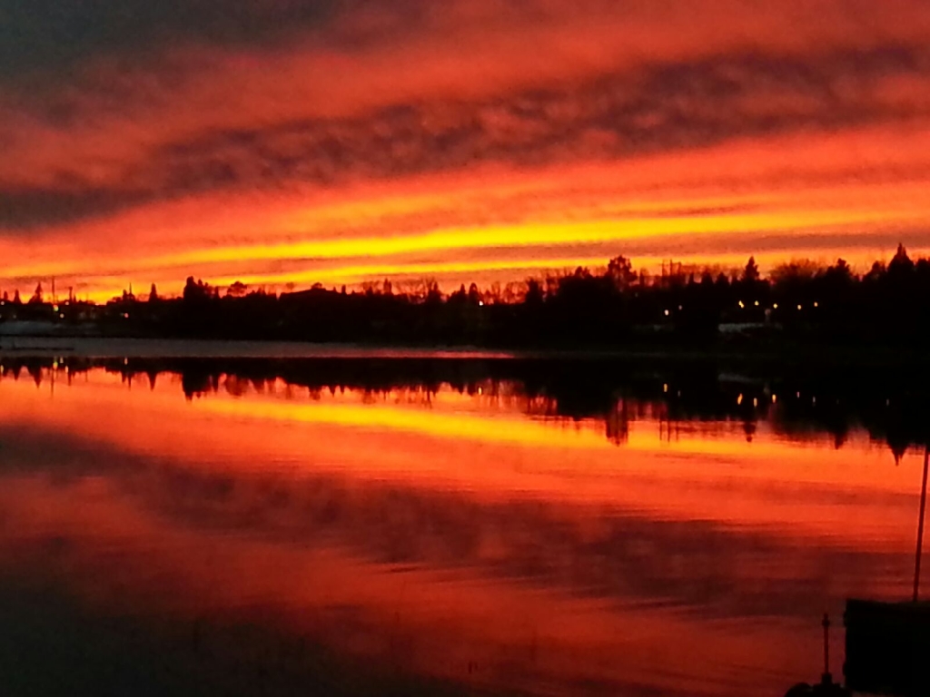 <div class="text-large">landscape of a sunset over the water</div>