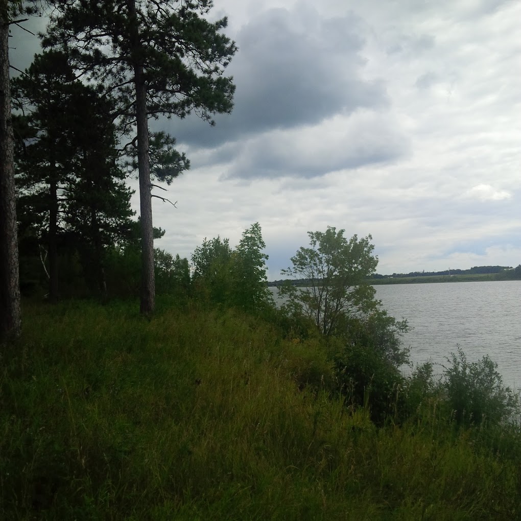 a slope of grass and trees beside a lake